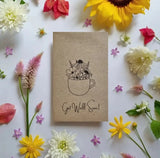 Get Well Soon - Wildflower Seeds: 0.5 Gram
