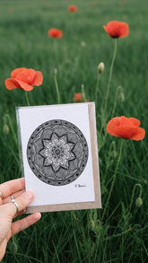 Pioneer Plantable Seed Card – Encouragement & Proud of You