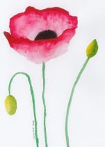 Charlie Jackman Greeting Cards