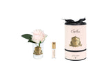 Rose Bud In Clear Glass with Pink & Gold Box