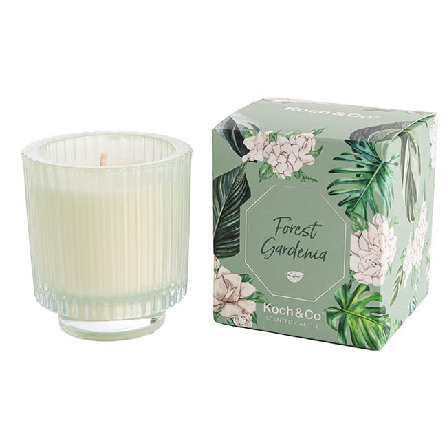 Bloom Natural Candles - 3 fragrances