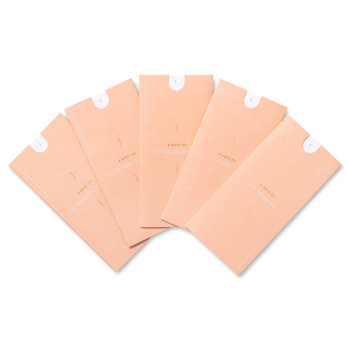 Love Notes-  A Letter Writing Kit