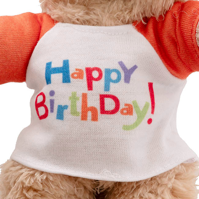 Ultimate Little Birthday Box