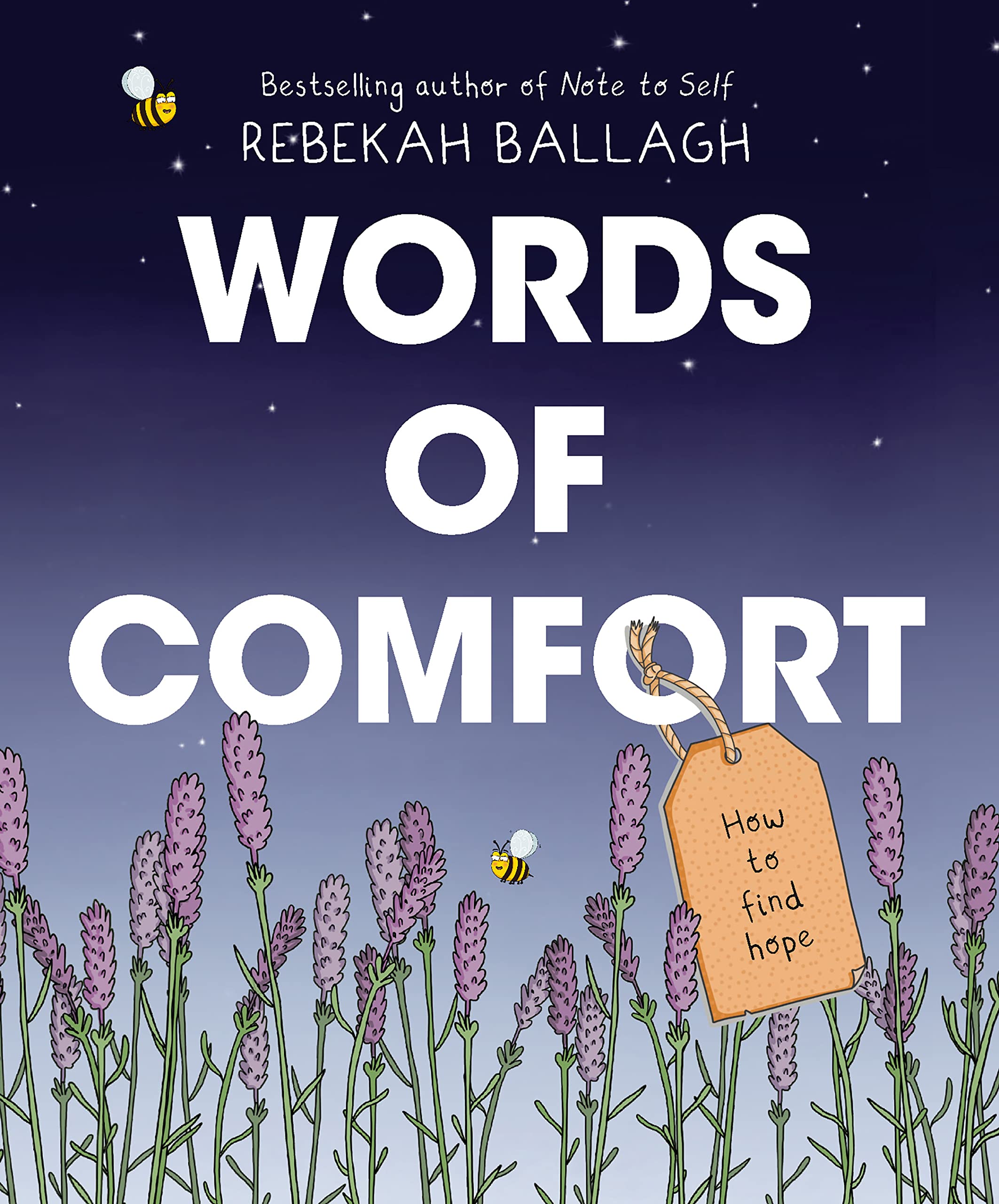 Words Of Comfort Book
