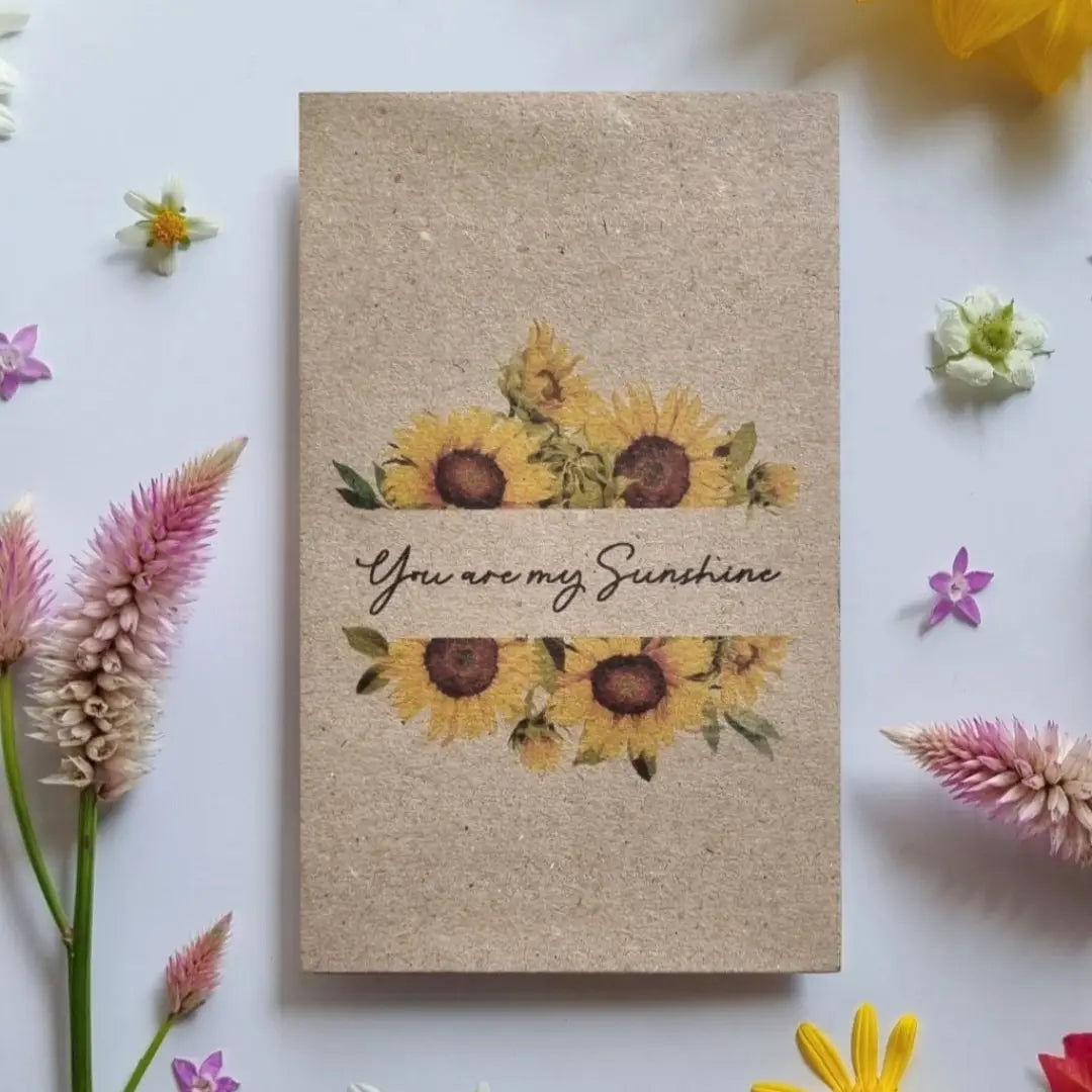 Sunshine Globe Gift Set – "You Are My Sunshine" Music Box & Sunflower Seeds