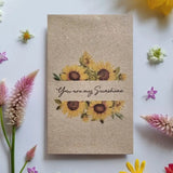 Sunshine Globe Gift Set – "You Are My Sunshine" Music Box & Sunflower Seeds