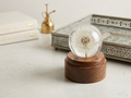 Dandelion Domes