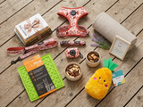 Small Dog Christmas Hamper | Puppies Are Family Too Gift Box