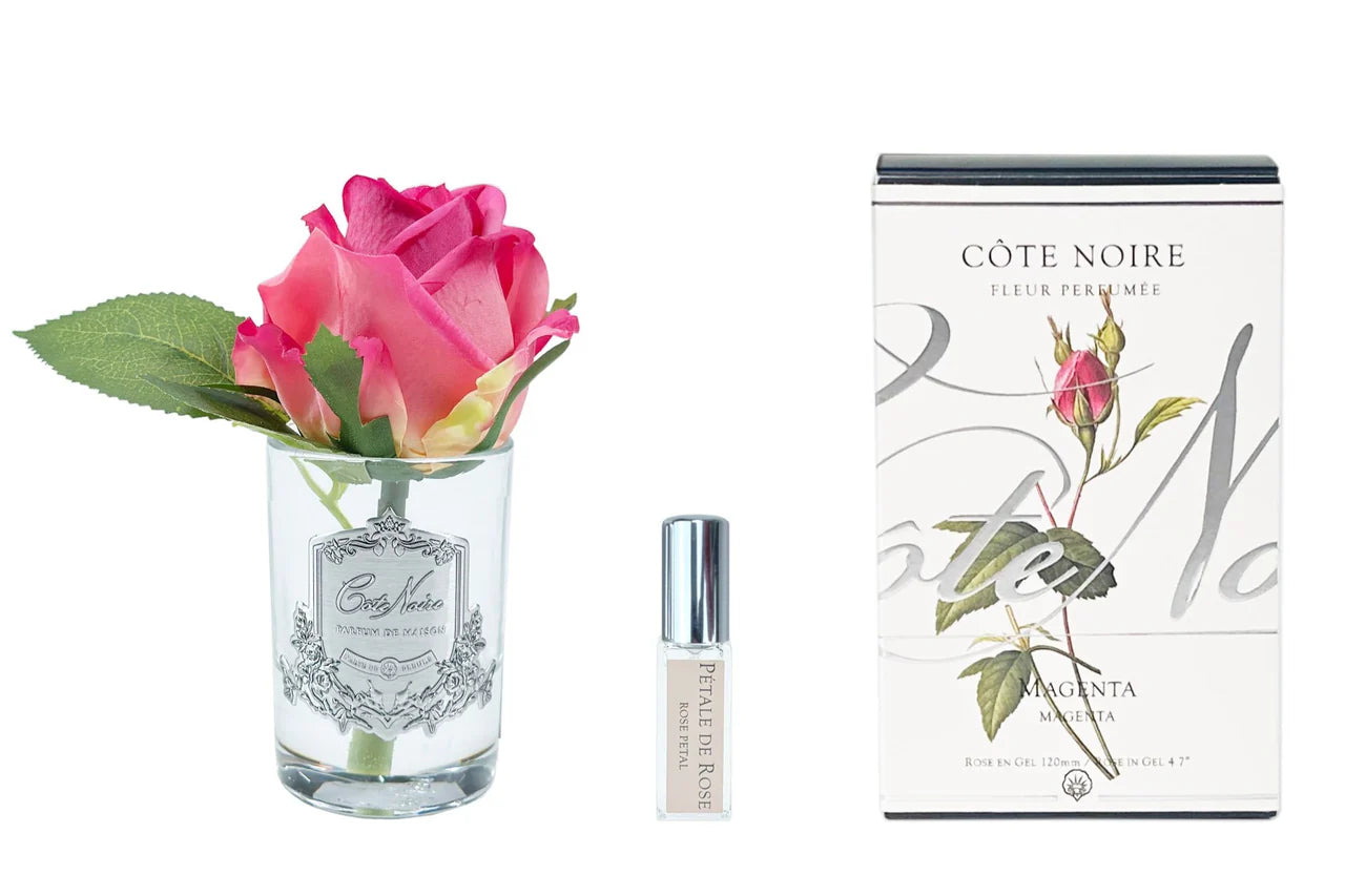 Cote Noire Rose Bud In Clear Vase 120mm
