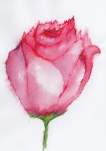 Charlie Jackman Mother's Day Cards