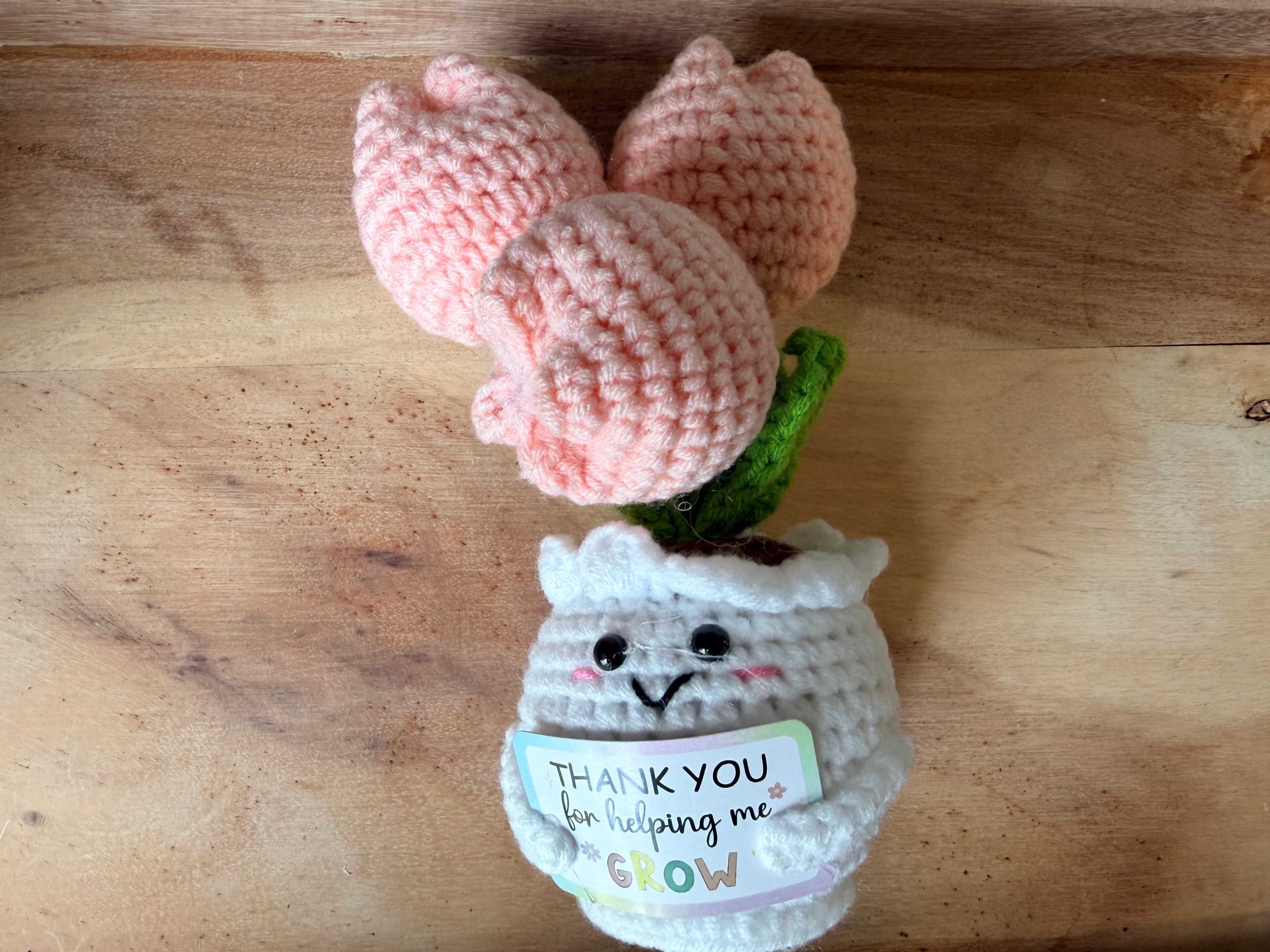 Crochet Thank You Pals | Teacher & Appreciation Gifts