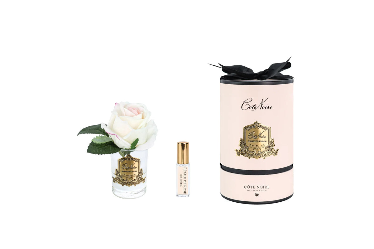 Rose Bud In Clear Glass with Pink & Gold Box