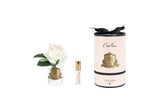 Rose Bud In Clear Glass with Pink & Gold Box