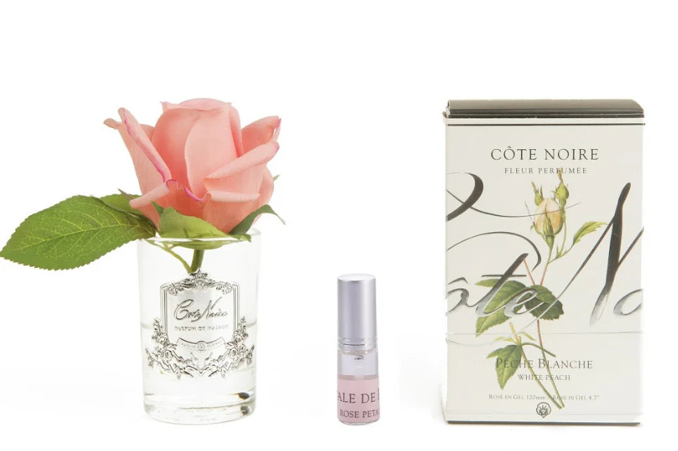 Cote Noire Rose Bud In Clear Vase 120mm
