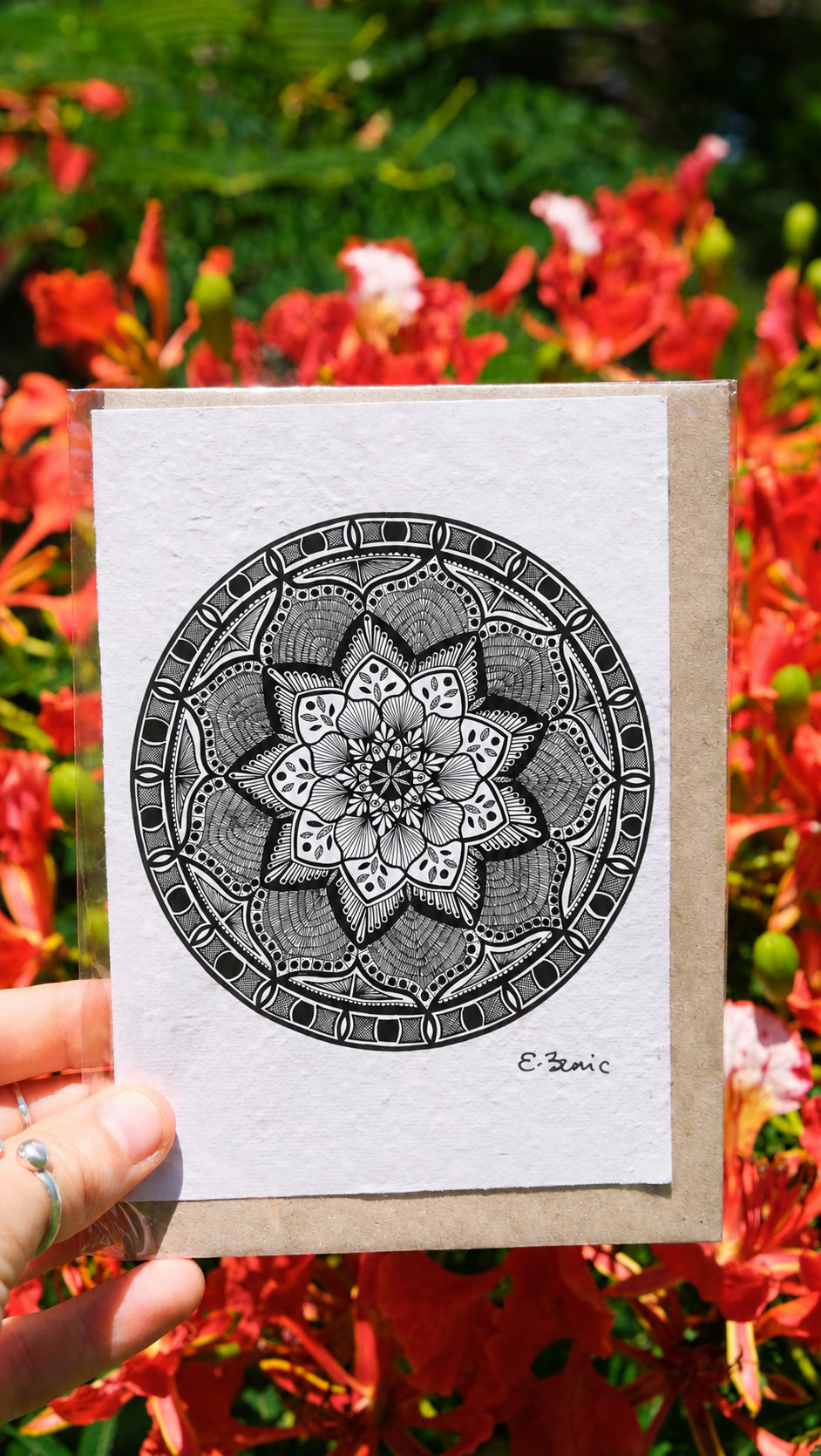 Pioneer Plantable Seed Card – Encouragement & Proud of You