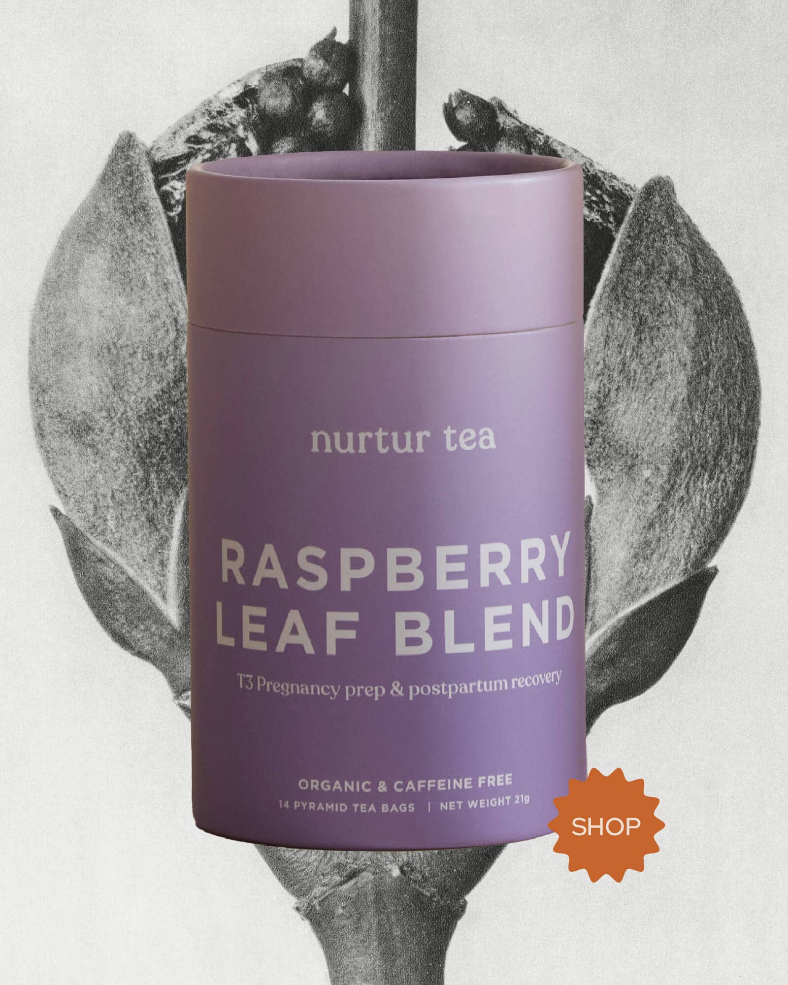 Raspberry Leaf Blend Tea, Pregnancy Prep & Postpartum Recovery, Nurtur