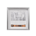 Sympathy Pet Memorial Collar Frame
