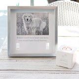 Sympathy Pet Memorial Collar Frame