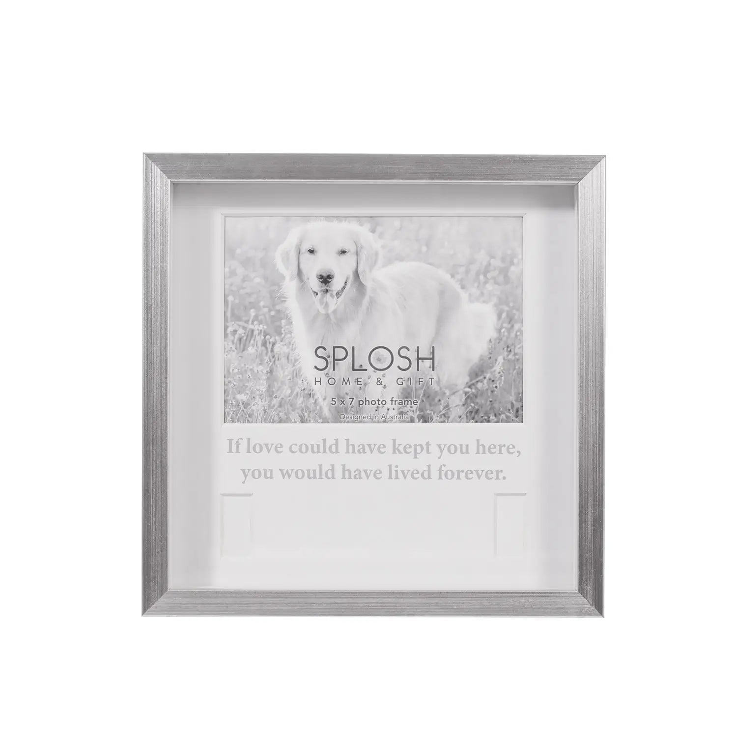 Sympathy Pet Memorial Collar Frame