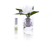 Cote Noire real touch flower, sympathy gift box