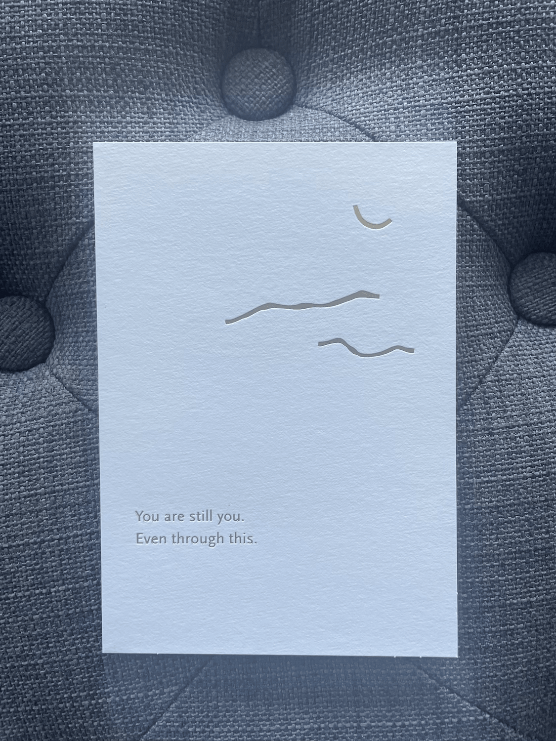 media/a237d0_8cdb6ec9774540a9ae0c6a043a5d53f3~mv2.png